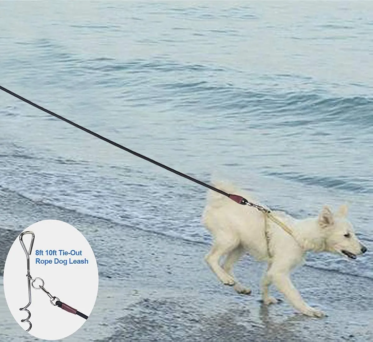 Tie Out Rope Dog Leash, 8-10-13-15-20-25-30-35-40-45-50 FT Heavy Duty Nylon Check Cord for Medium Large Dogs Indoor/Outdoor Playing Camping Backyard (Black, 3/8" x 10ft)