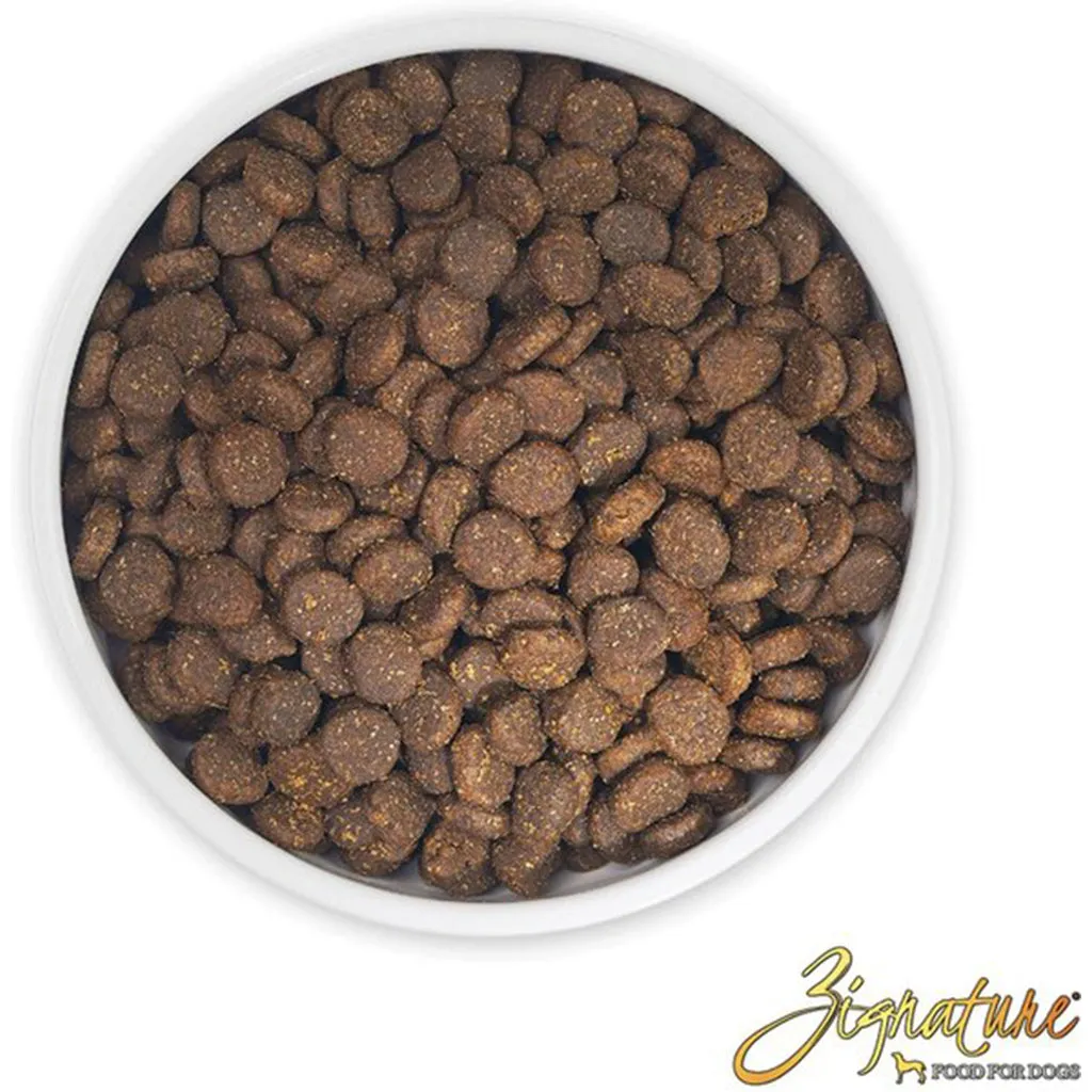 Trout & Salmon Limited Ingredient Dry Dog Food