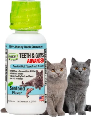 Ultimate Cat Teeth Cleaning for Comprehensive Dental Care: Freshen Bad Breath Solutions for Superior Cat Oral Hygiene and Pet Dental Health.