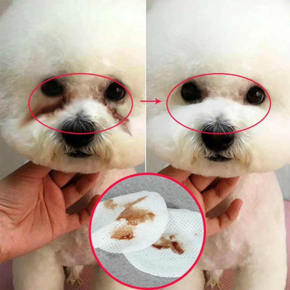 Wet Wipes For Dogs