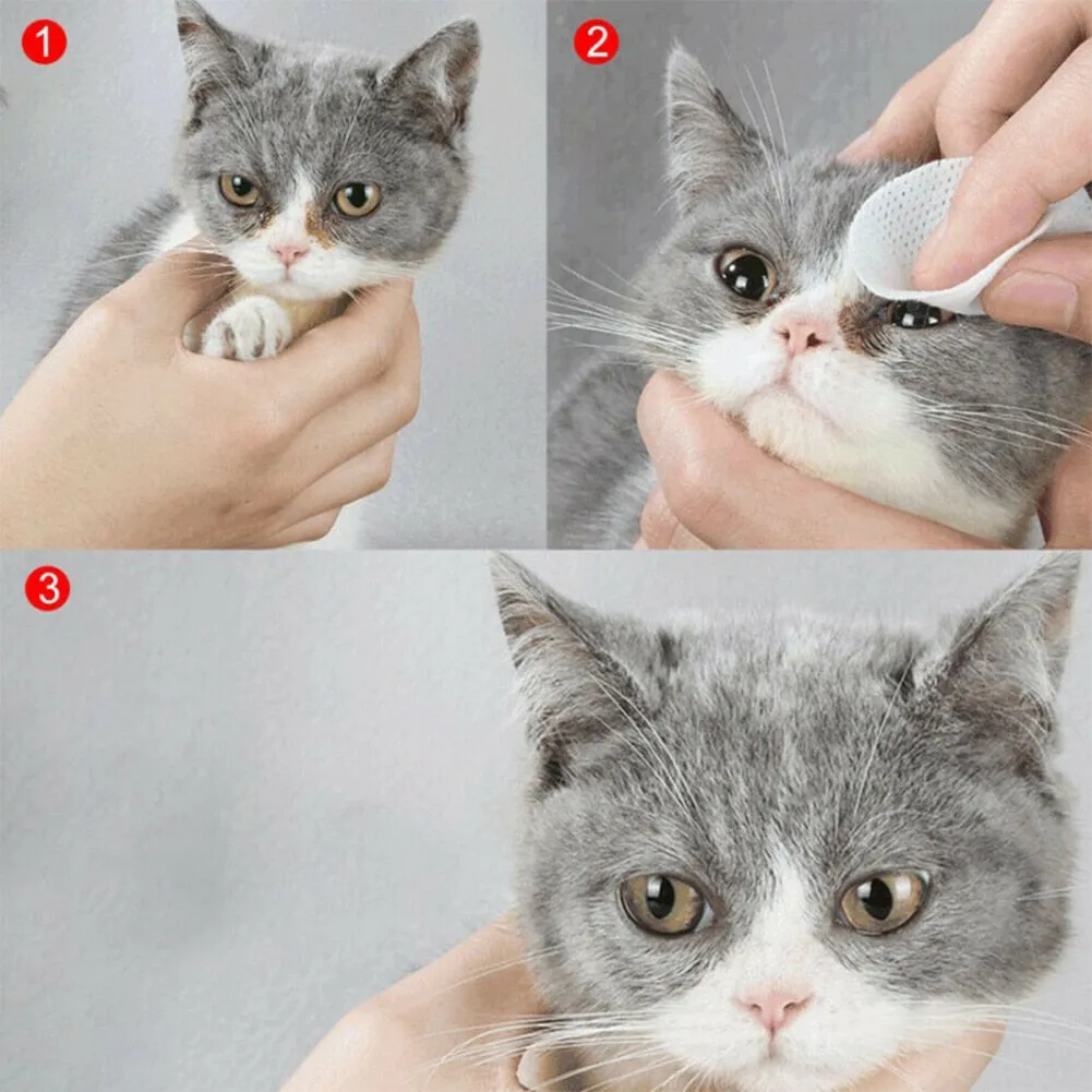 Wet Wipes For Dogs