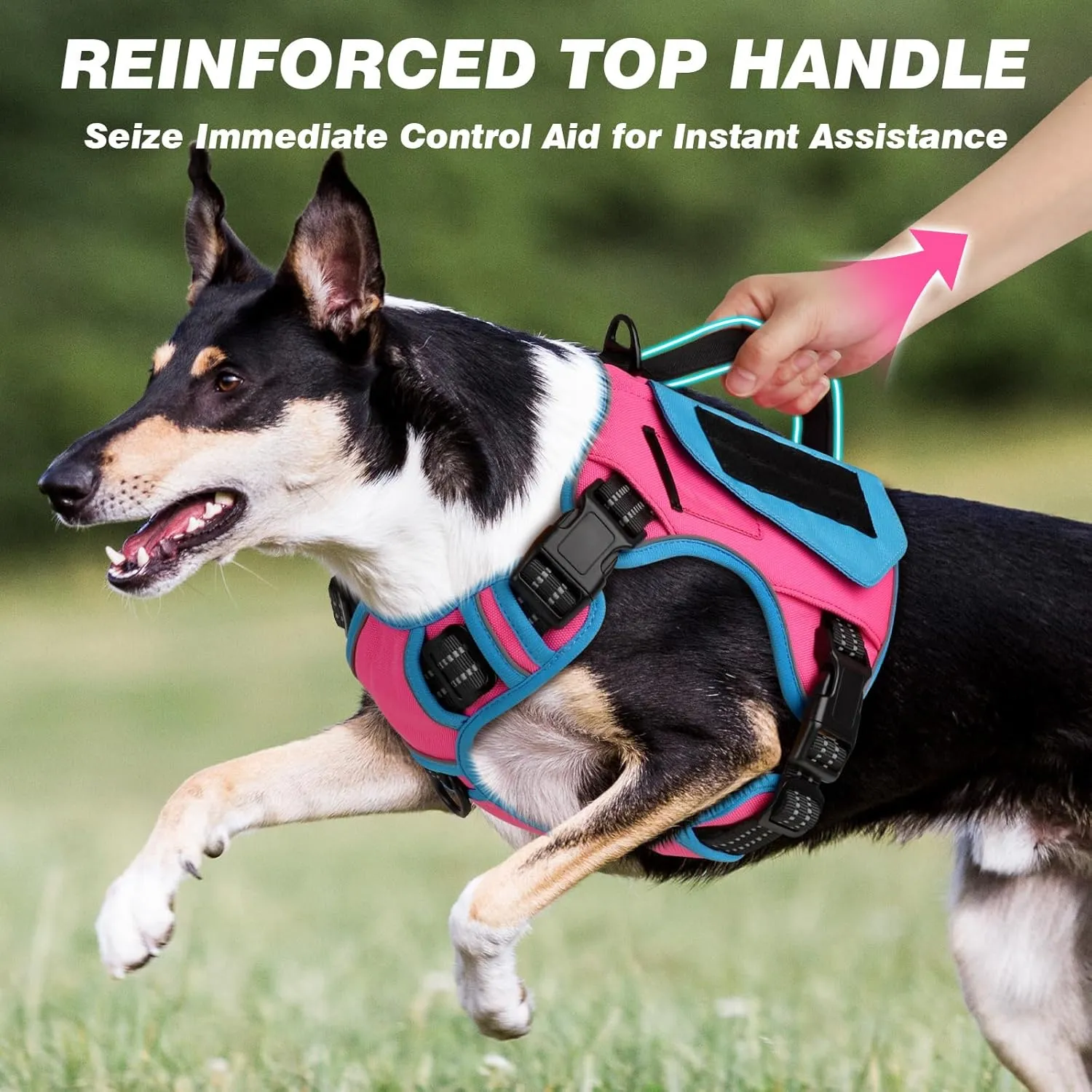 WINGOIN Tactical Dog Harness for Extra Large Dogs, No Pull Harness with Handle Pockets Poop Bag, Reflective Dog Vest, Military Heavy Duty Big Dog Harness for Walking Hiking Training (Pink Blue, XL)