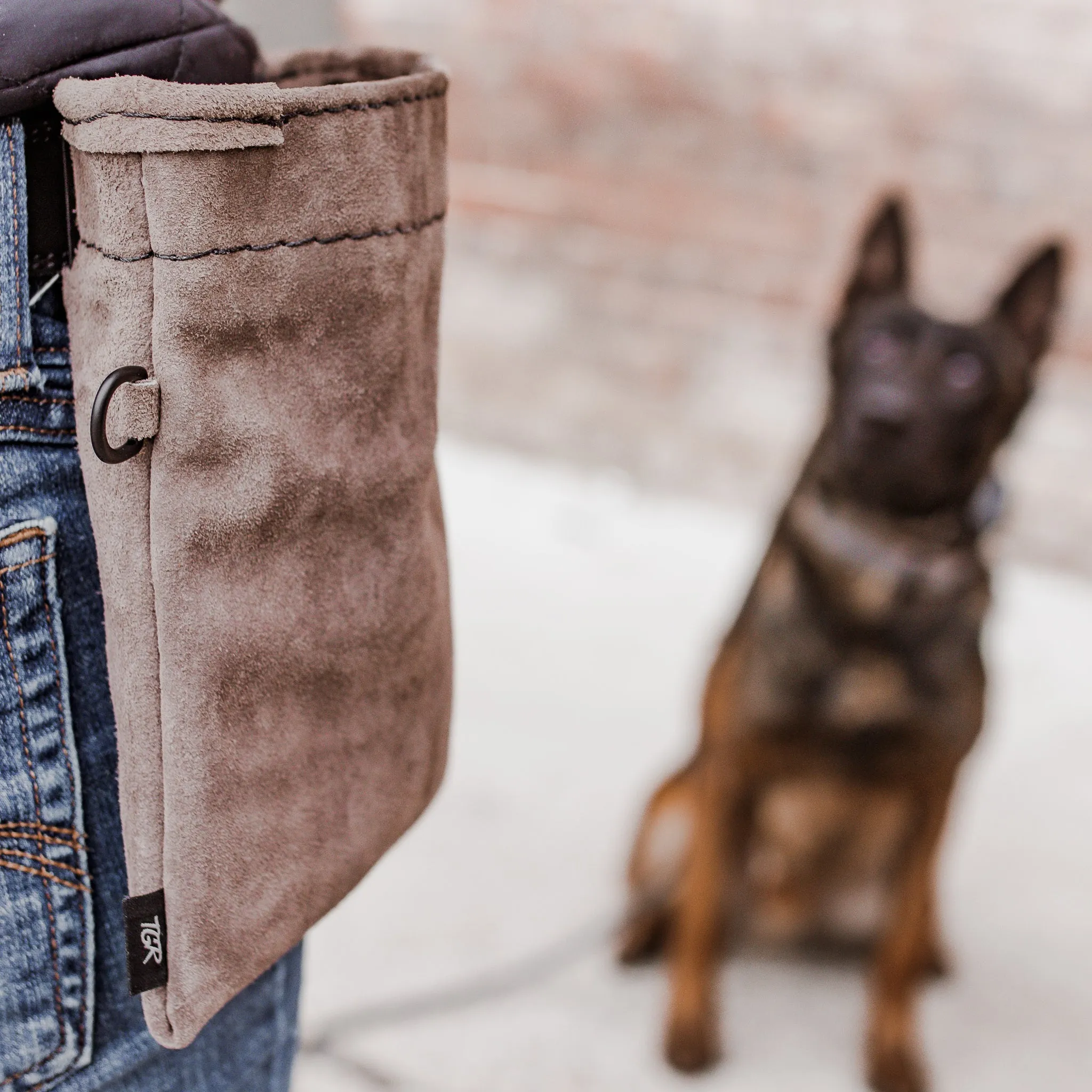 Wolf Grey Leather Treat Pouch