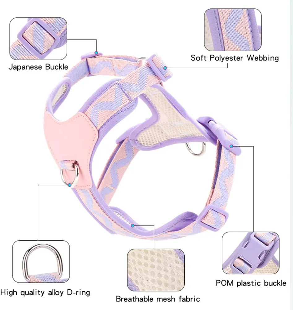 XS Dog Harness and Leash Set, No Pull Dog Harness with 2 Leash Clips, Anti-Escape Easy Walk Puppy Harness, Adjustable Dog Vest Harness for Training Walking for Small Dogs(Purple, XS)