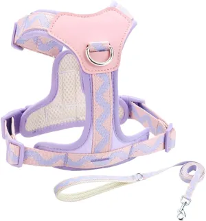 XS Dog Harness and Leash Set, No Pull Dog Harness with 2 Leash Clips, Anti-Escape Easy Walk Puppy Harness, Adjustable Dog Vest Harness for Training Walking for Small Dogs(Purple, XS)