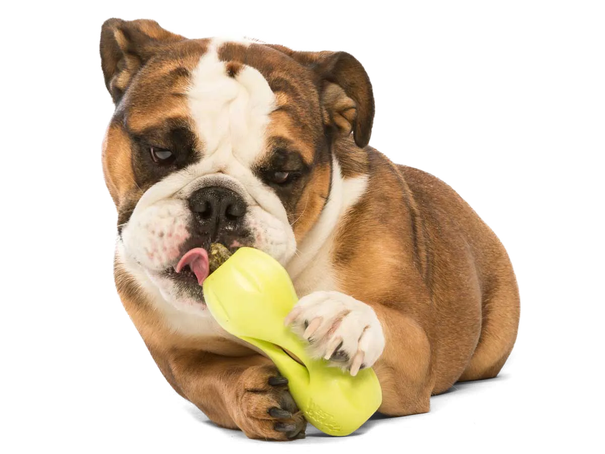 Zogoflex Qwizl by West Paw
