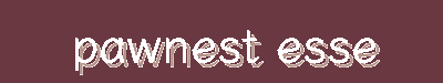 PawNest Essentials | Pet Nutrition, Play Gear, Training Tools & Hygiene – 40% Off Everything
